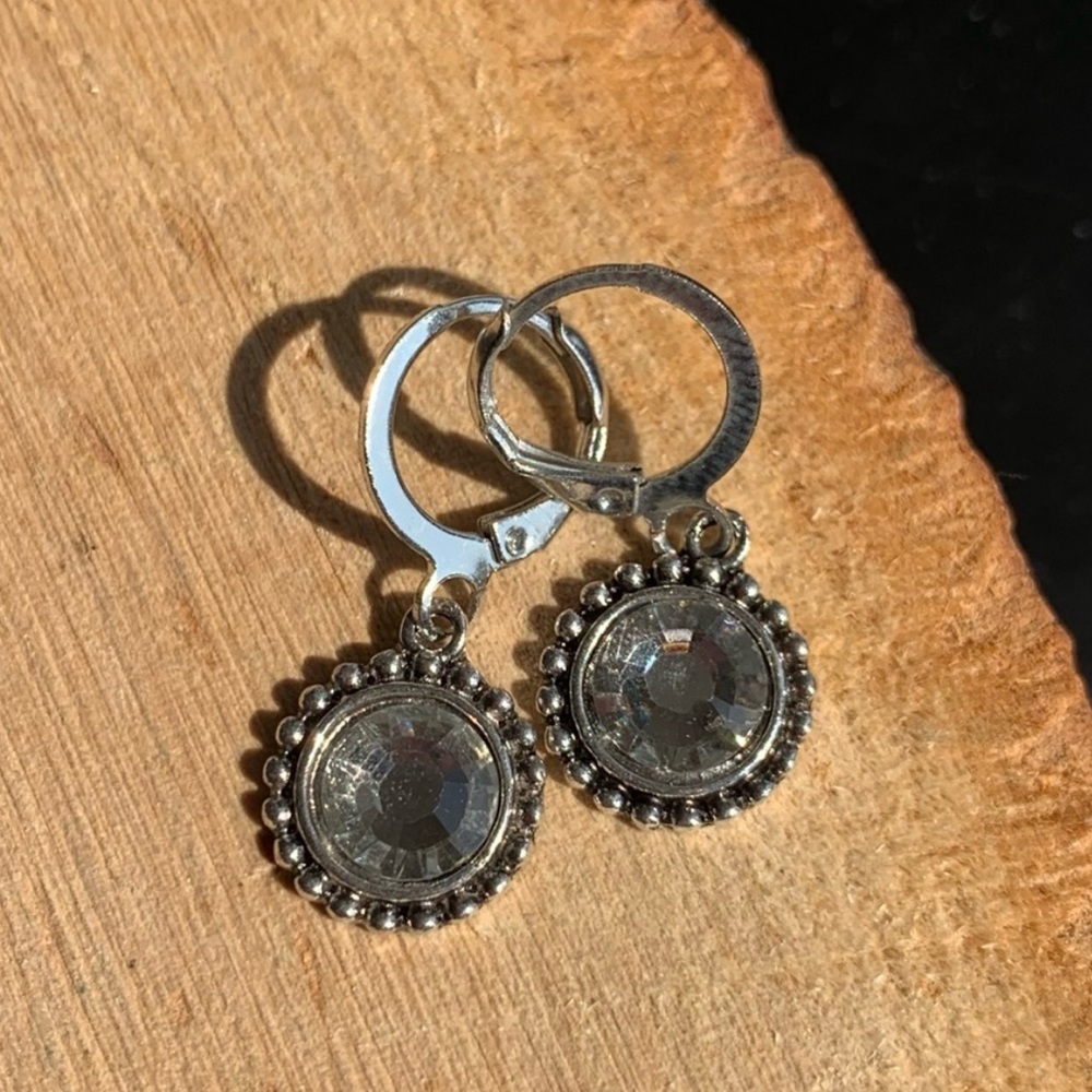 Elegant Silver Dangle Circle Women's Cute Earrings
